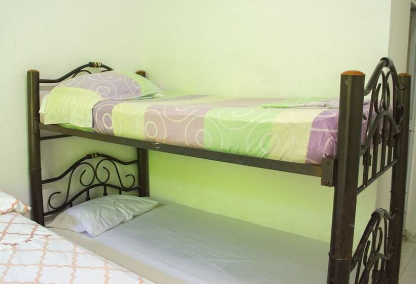 هاستل Maranatha Hostal