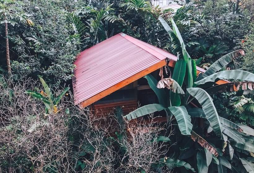 Отель Arenal Rustic Lodge