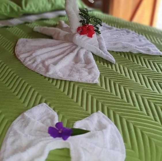 Отель Arenal Rustic Lodge