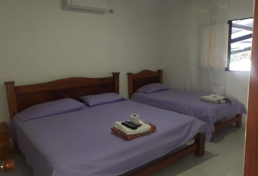 هتل Casino Royal Caribe