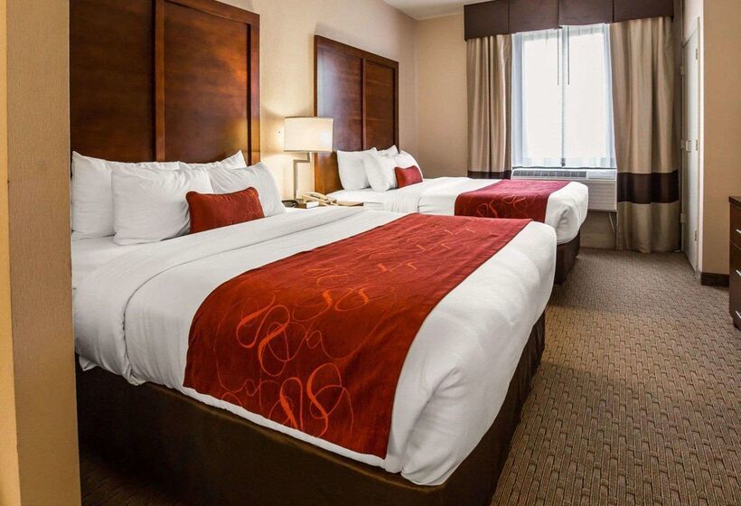 酒店 Comfort Suites