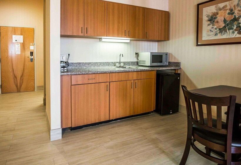 酒店 Comfort Suites