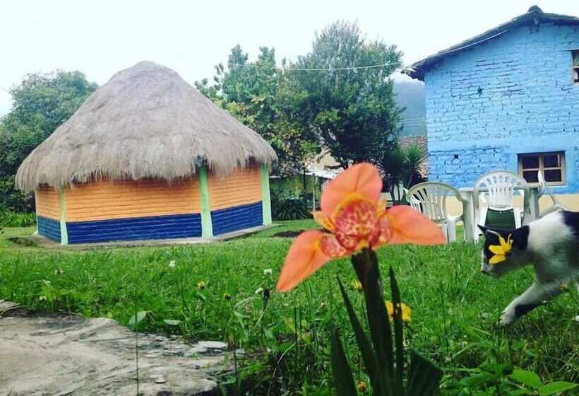 هتل Hostal Casa Aida