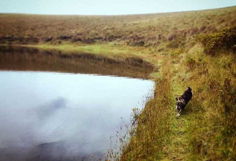 هتل Hostal Casa Aida