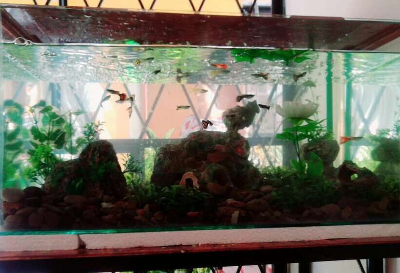 فندق Hostal Mariscal Sucre