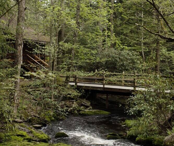 ホテル Magnolia Streamside Resort