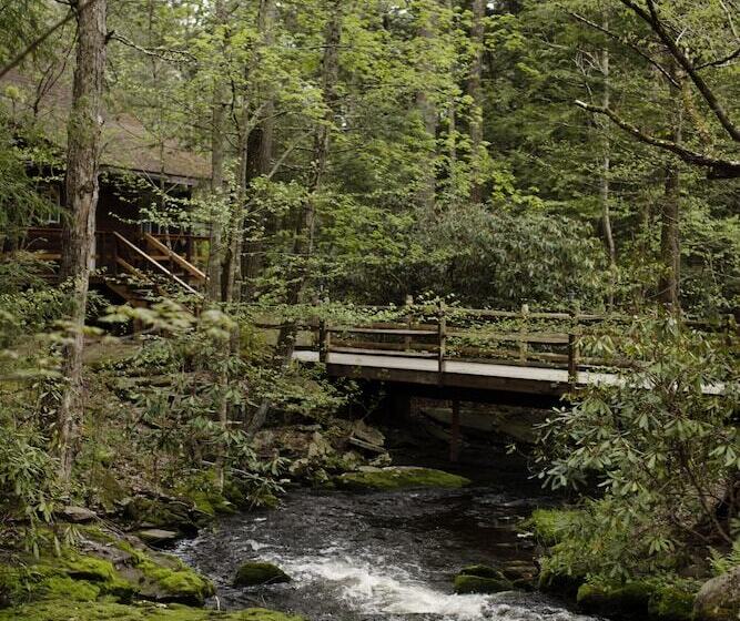 ホテル Magnolia Streamside Resort