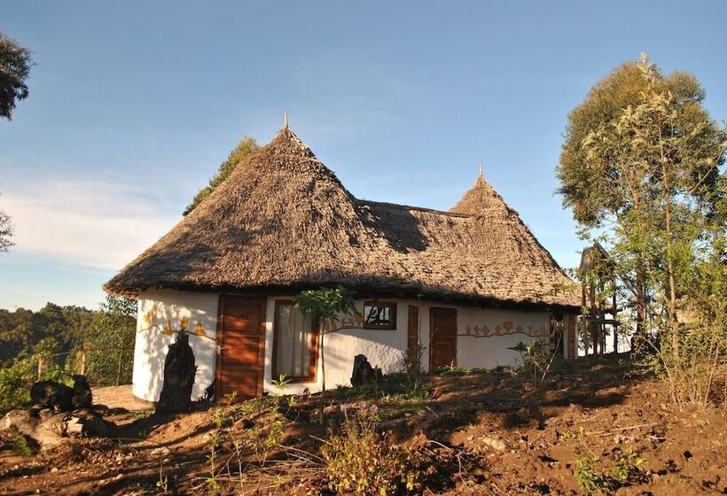 هتل Mamboviewpoint Eco Lodge
