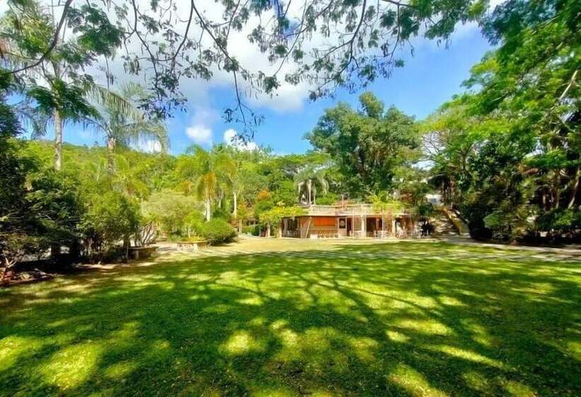 هتل Momarco Forest Cove Resort And