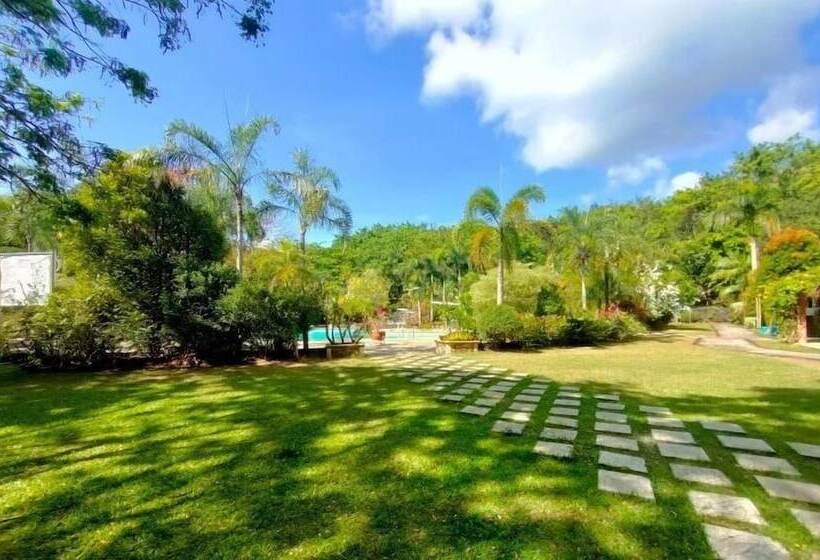 هتل Momarco Forest Cove Resort And