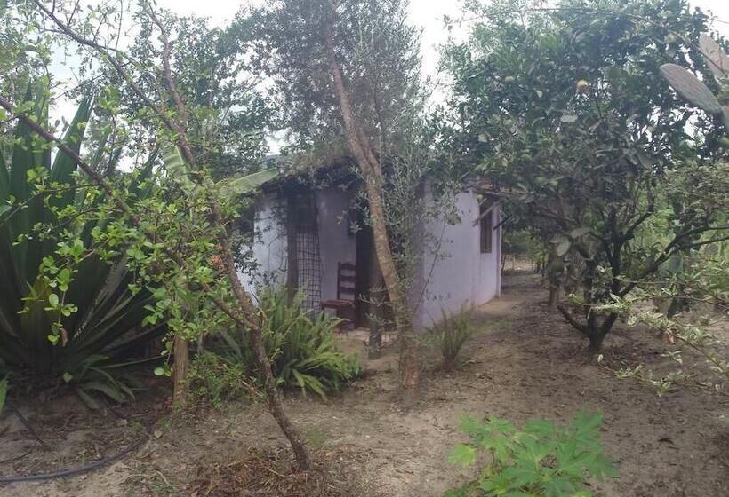 酒店 Pousada Casa Na Roça