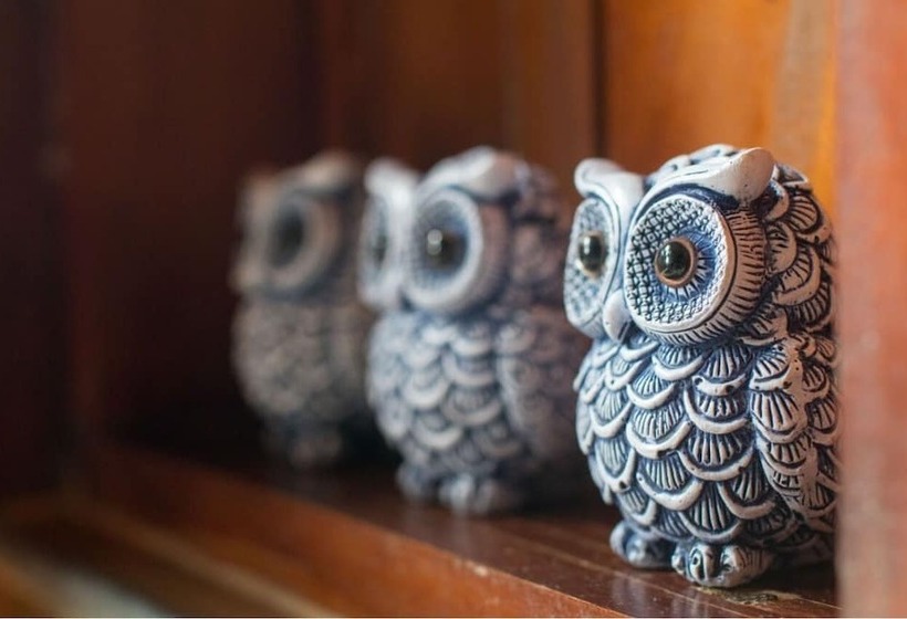 בית מלון כפרי Thamaravila Wilpattu Luxury Tented Villa