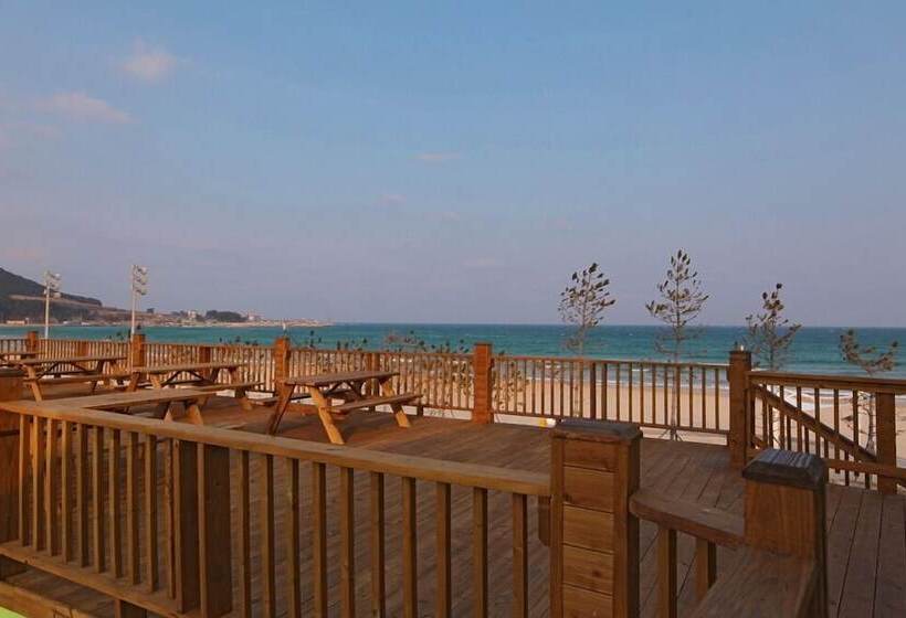 بنسيون Pohang Sunrise