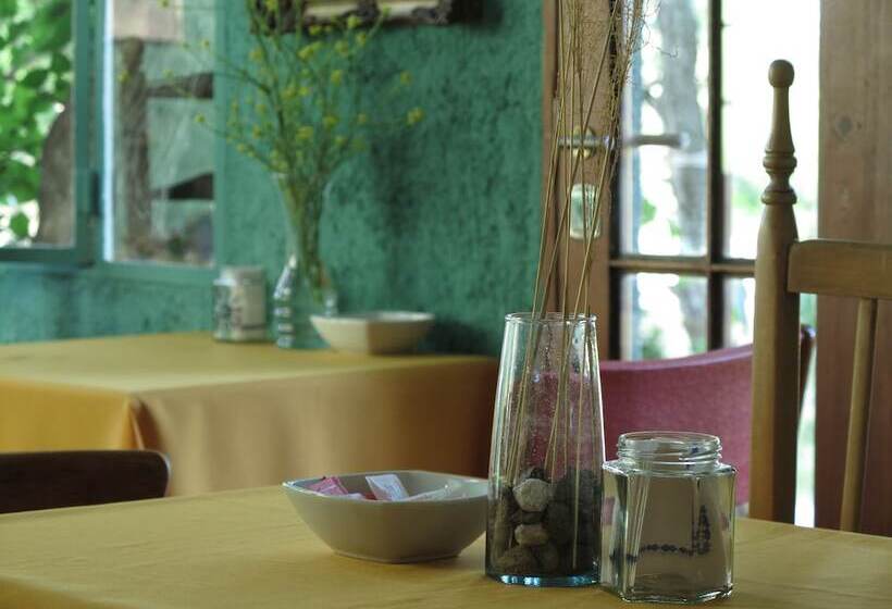 فندق فئة نجمة واحدة Paloma Suite & Guest House