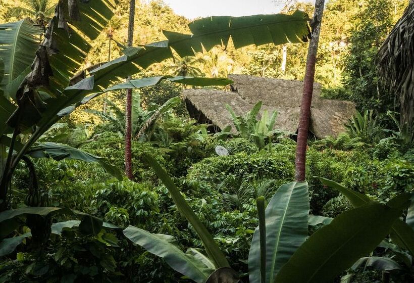 هتل Dominican Tree House