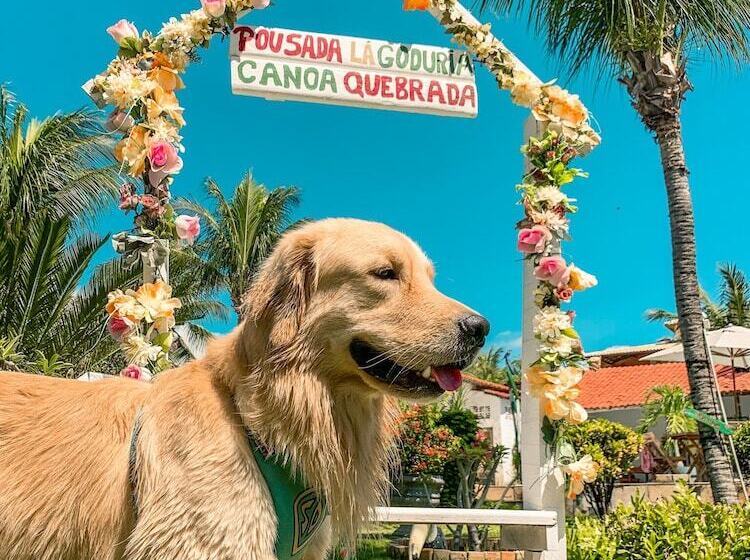 هتل Pousada La Goduria