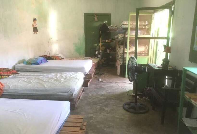 Maya Pan Hostal   Hostel