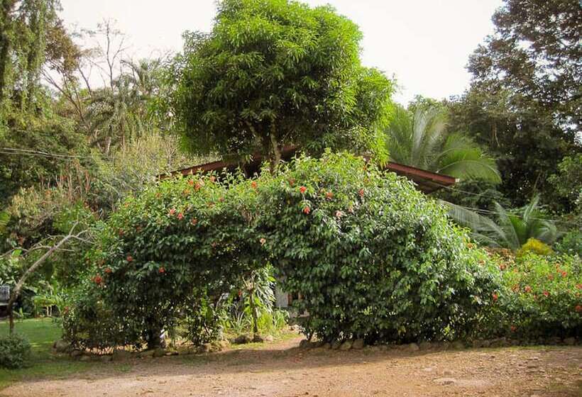 פנסיון La Dulcinea B&b