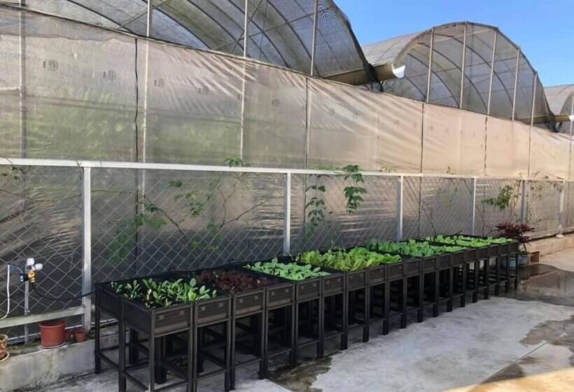 پانسیون 日月潭 讀好民宿 Read Nice House B&b