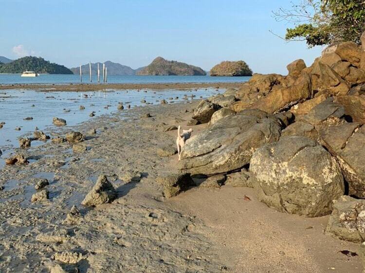 ペンション Wild Pasir Panjang Villas