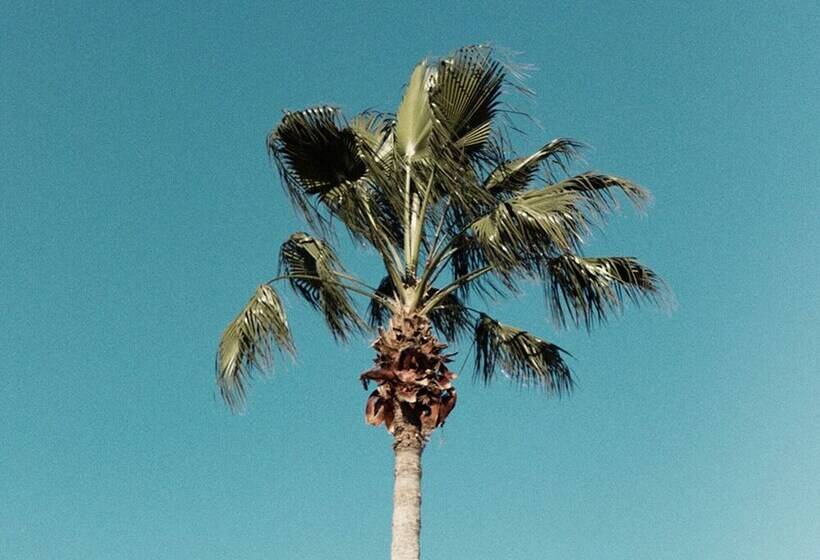 Villa In Reunion Resort & Spa 1277