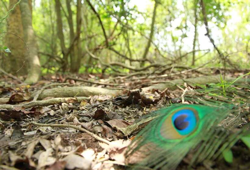ホテル Big Game  Wilpattu By Eco Team