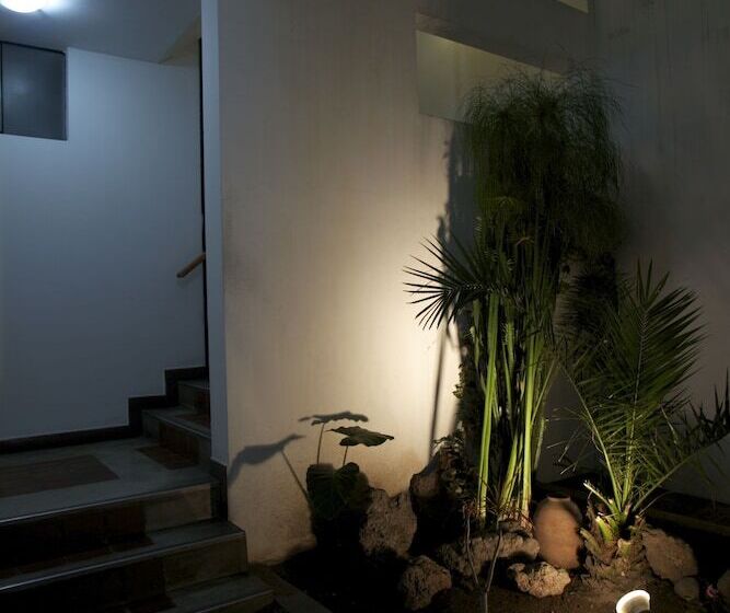 ホテル Hostal Solar