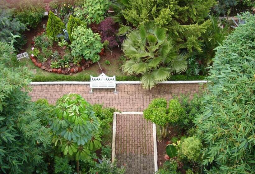 Fotos del hotel Las Américas:  12