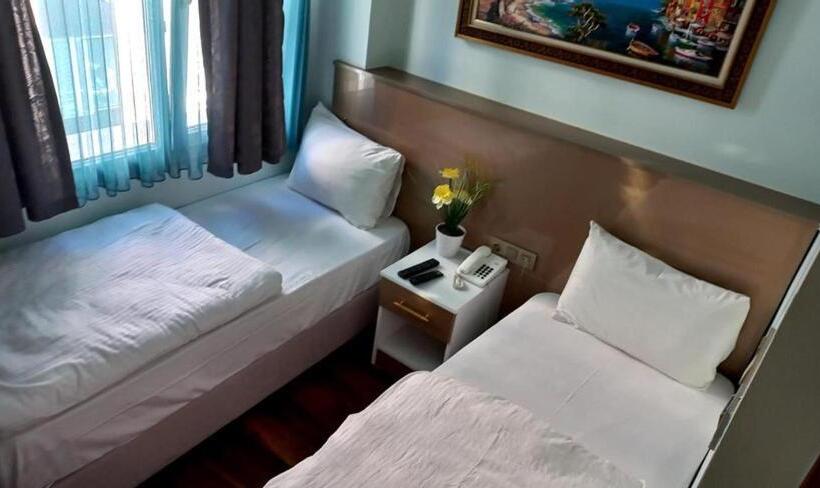 Fotos del hotel Metrolux:  2