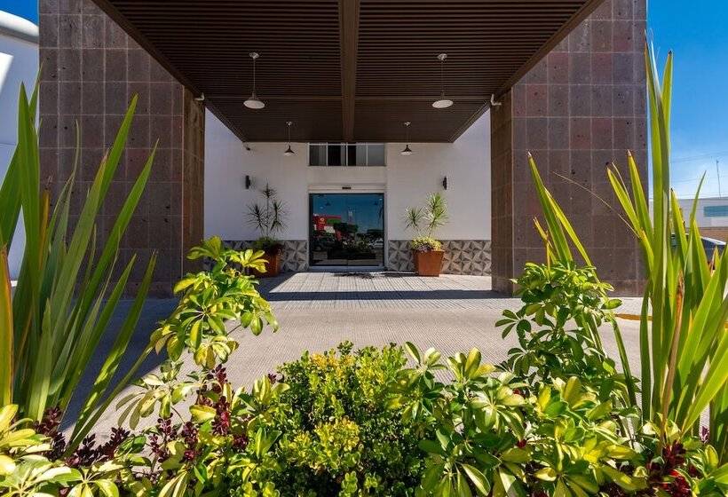 هتل Mexico Inn Express