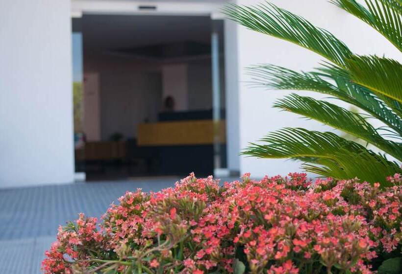 هتل Mexico Inn Express