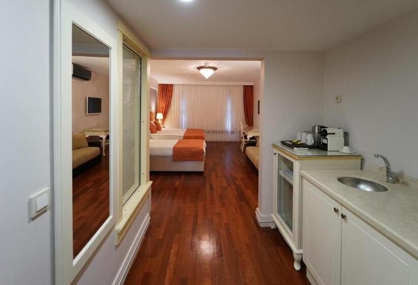 Fotos del hotel Suitel Bosphorus Taksim:  37