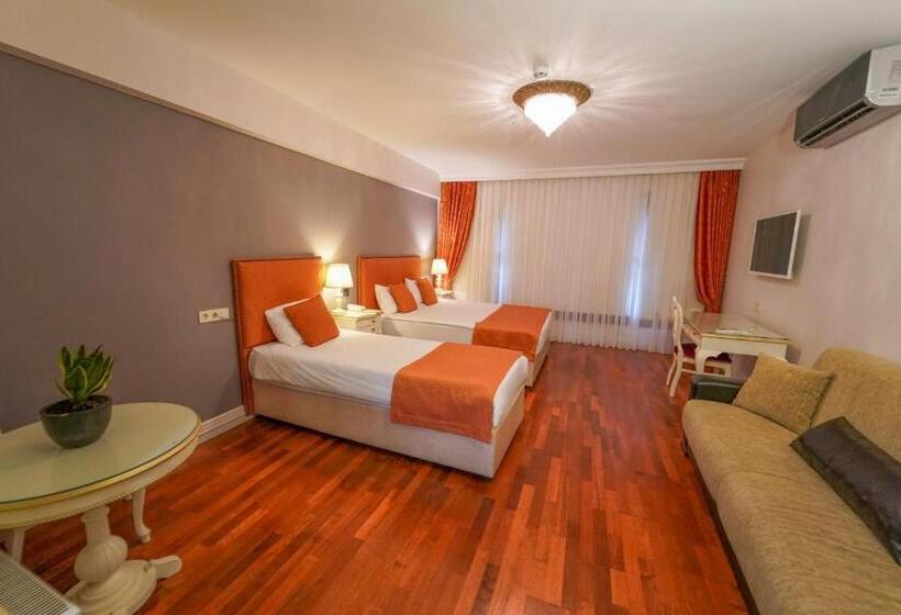 Fotos del hotel Suitel Bosphorus Taksim:  7