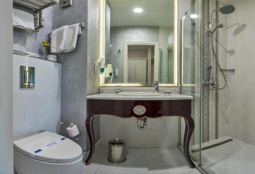 Fotos del hotel Suitel Bosphorus Taksim:  41
