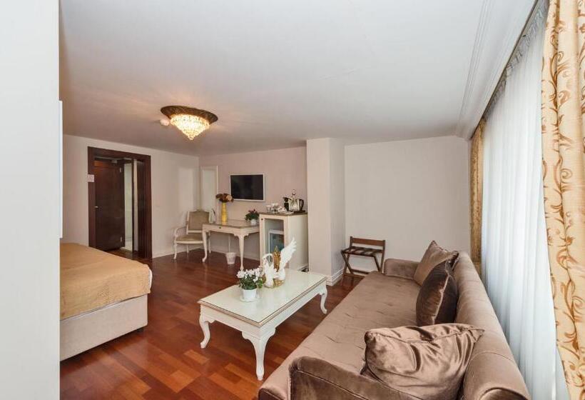 Fotos del hotel Suitel Bosphorus Taksim:  17