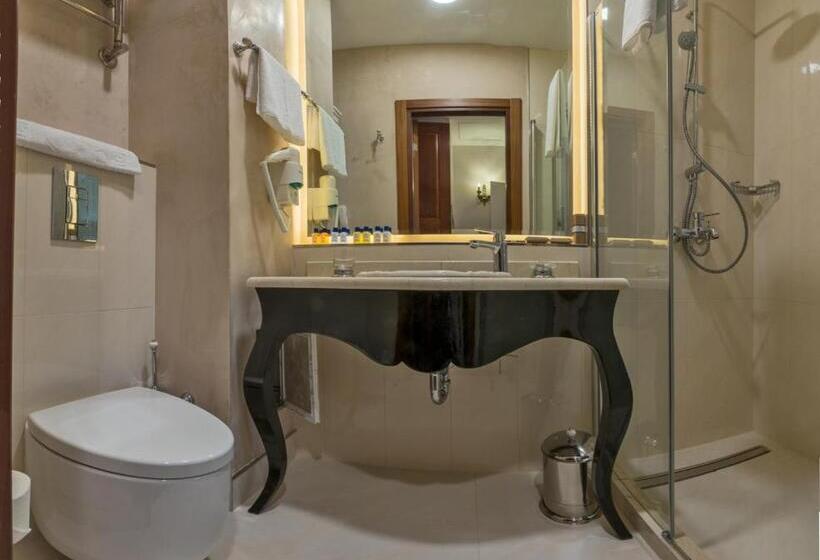 Fotos del hotel Suitel Bosphorus Taksim:  42