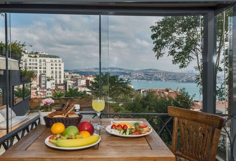 Fotos del hotel Suitel Bosphorus Taksim:  27