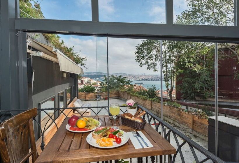 Fotos del hotel Suitel Bosphorus Taksim:  38