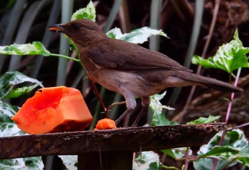 هتل Terra Barichara