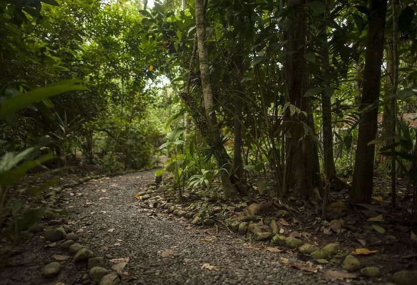 هتل Tierra De Suenos Lodge & Wellness Center