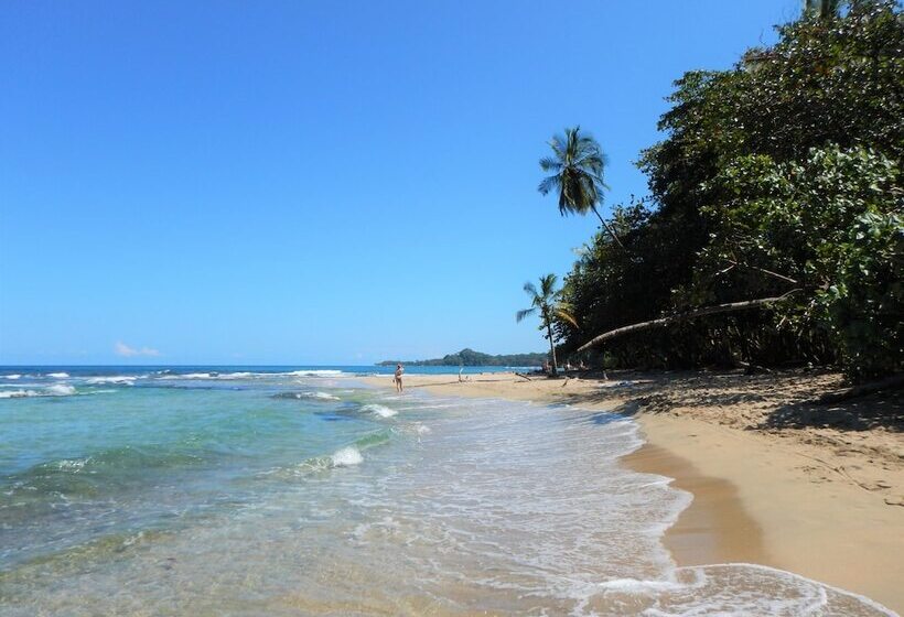 هتل Tierra De Suenos Lodge & Wellness Center