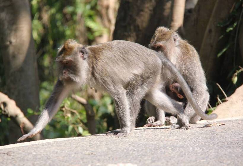 Fotos del hotel Umaya Ubud Villa:  19