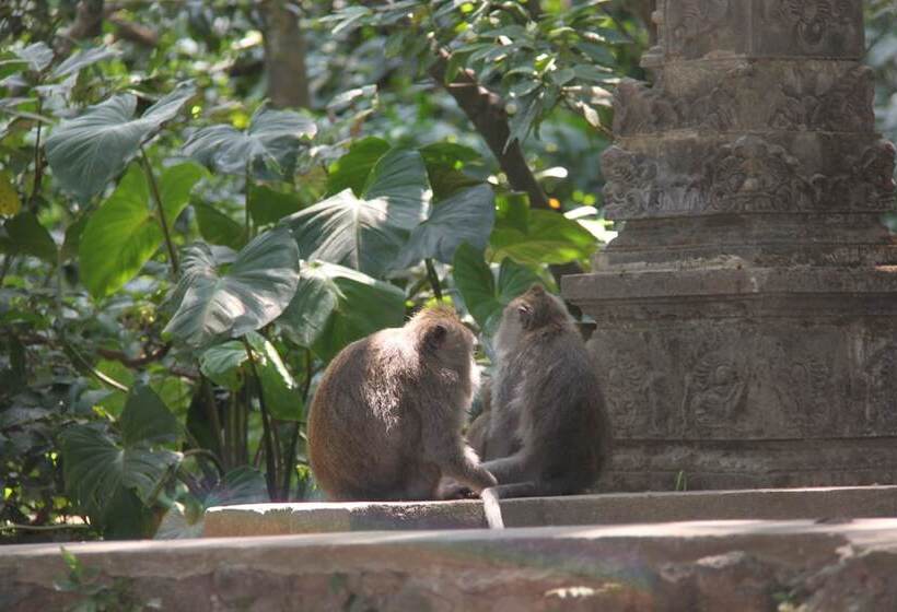 Fotos del hotel Umaya Ubud Villa:  12