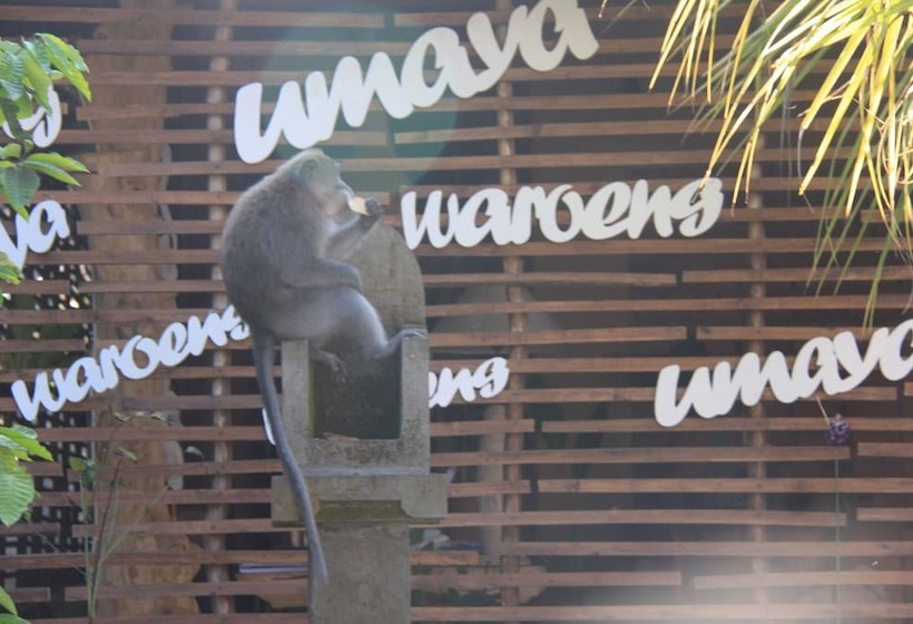 Fotos del hotel Umaya Ubud Villa:  13