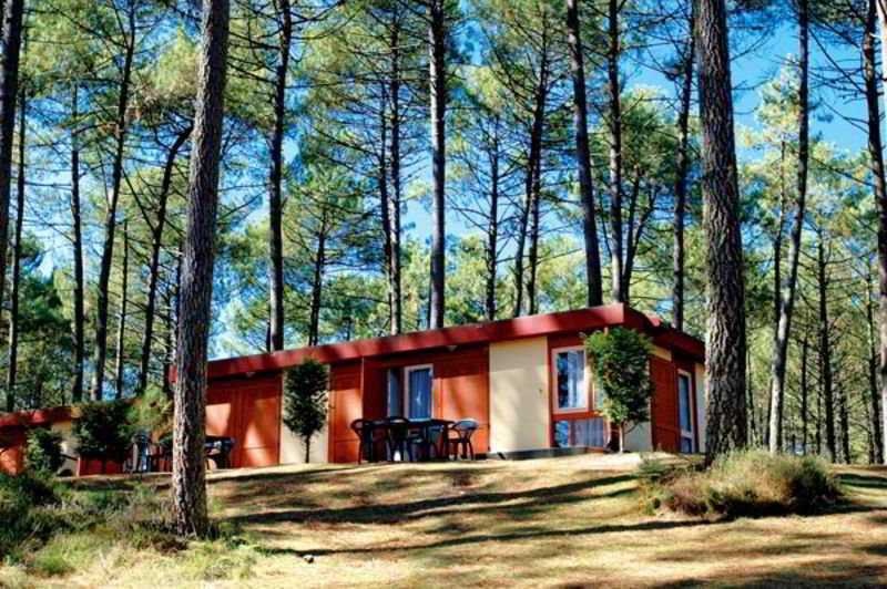 레지던스 Les Villages Sous Les Pins