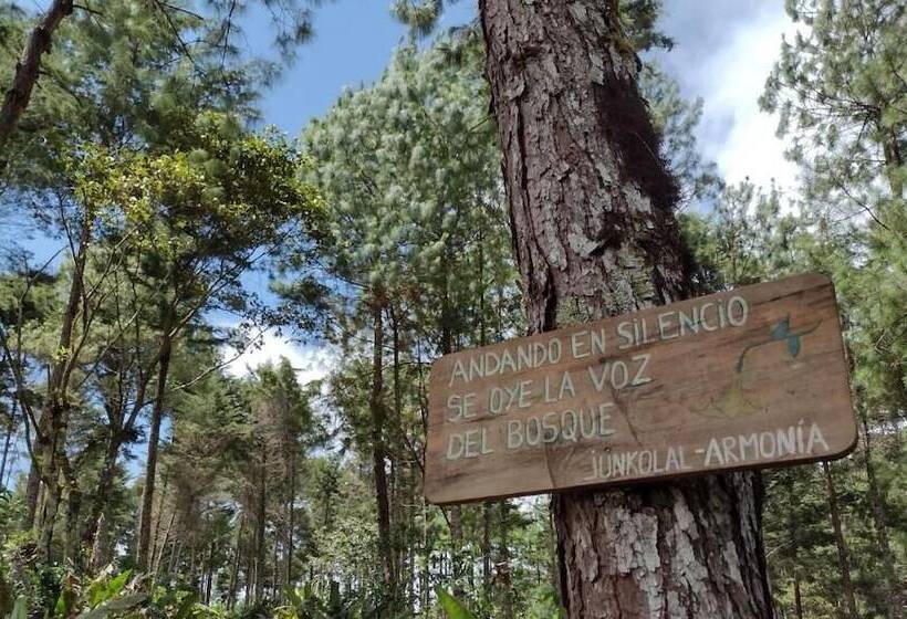 مبيت وإفطار Cabañas Junkolal