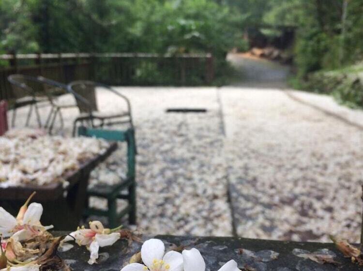 تختخواب و صبحانه Shanlin Songjing Leisure Farm