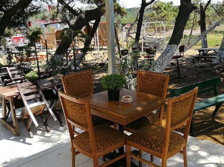 ホテル Atlitur Gumusdere Beach Camp