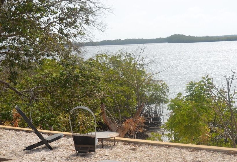 هتل Bonobo Lodge