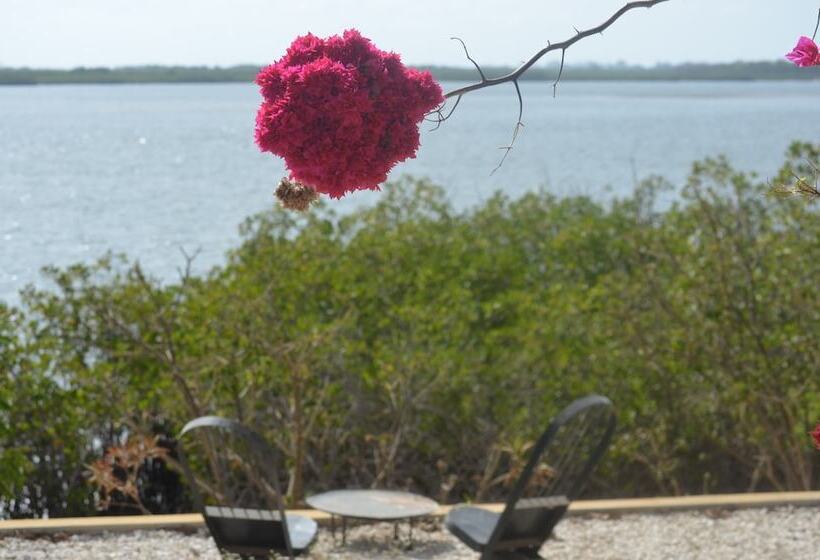 هتل Bonobo Lodge